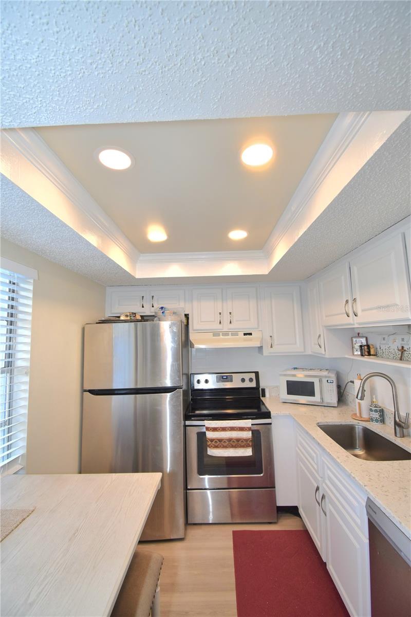 952 VIRGINIA ST #209, DUNEDIN, FL, 34698