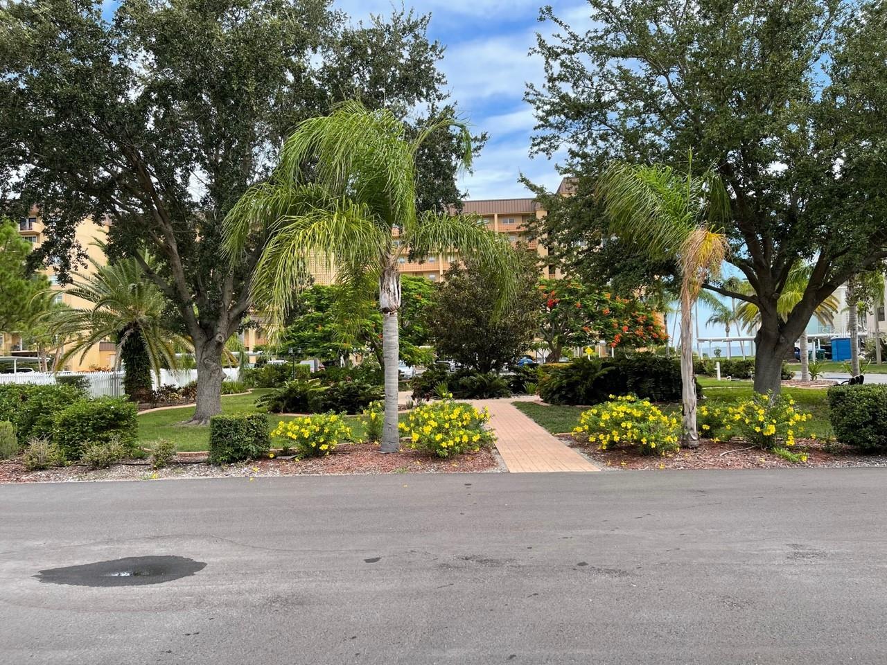 7 DUNOON PL #207, DUNEDIN, FL, 34698