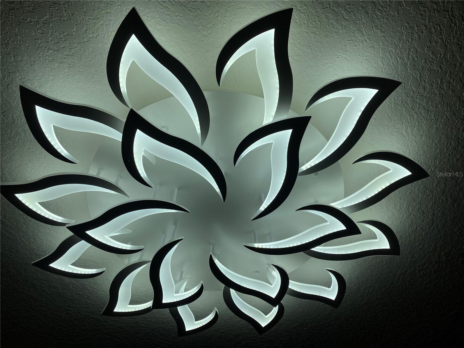 5562 SUPERIOR DR, LAKELAND, FL, 33805