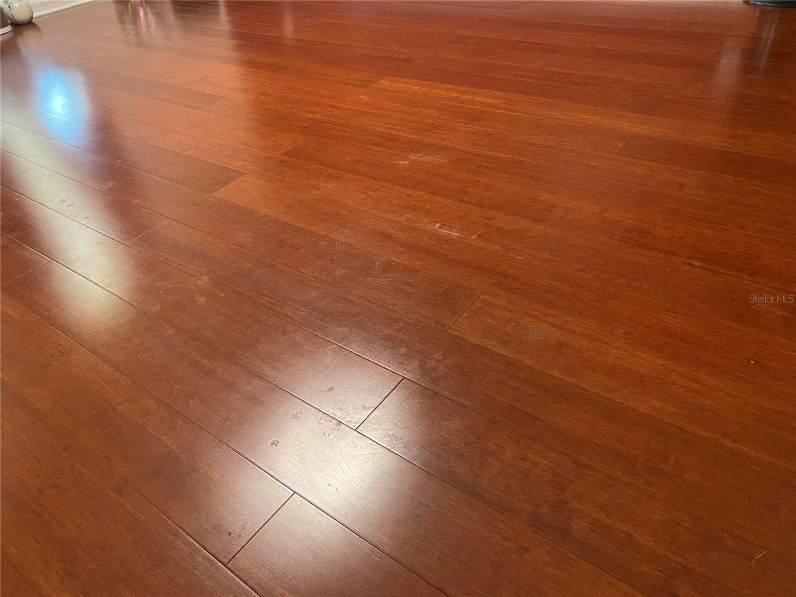 5562 SUPERIOR DR, LAKELAND, FL, 33805