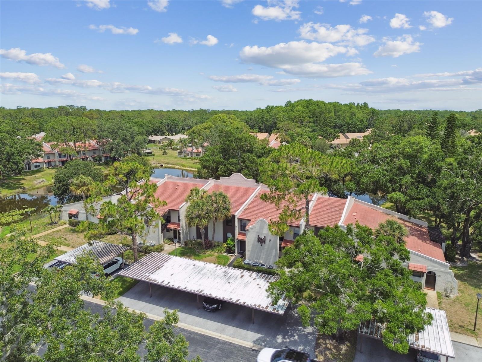 3505 TARPON WOODS BLVD #P404, PALM HARBOR, FL, 34685