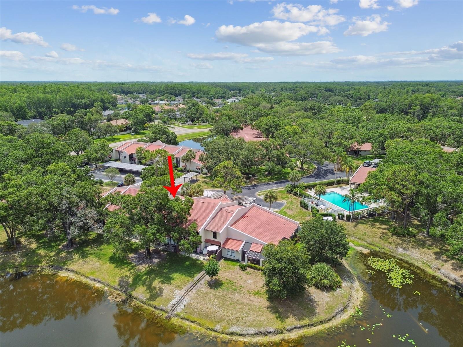 3505 TARPON WOODS BLVD #P404, PALM HARBOR, FL, 34685