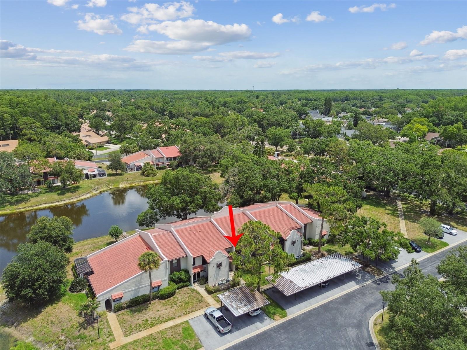 3505 TARPON WOODS BLVD #P404, PALM HARBOR, FL, 34685