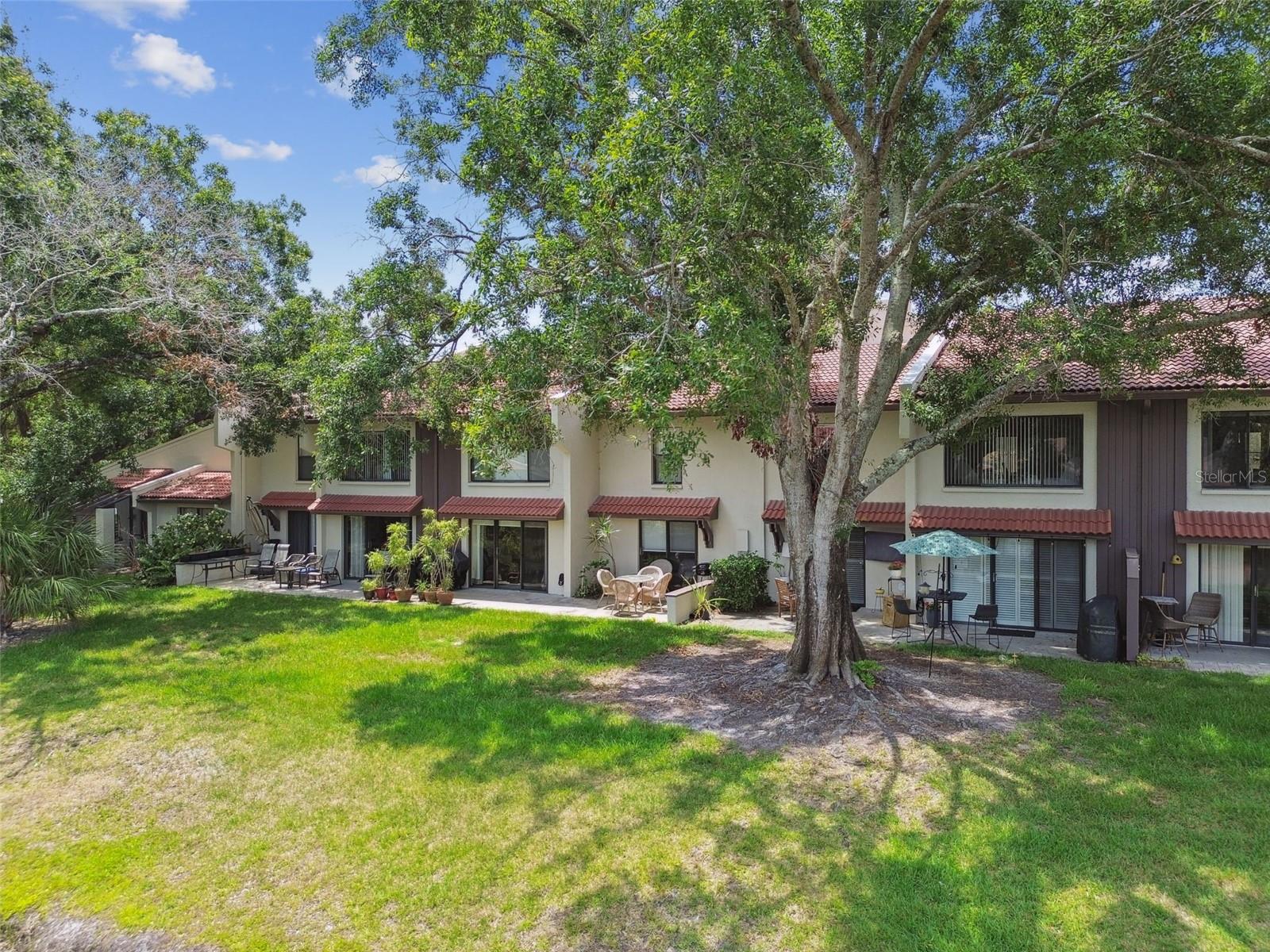 3505 TARPON WOODS BLVD #P404, PALM HARBOR, FL, 34685