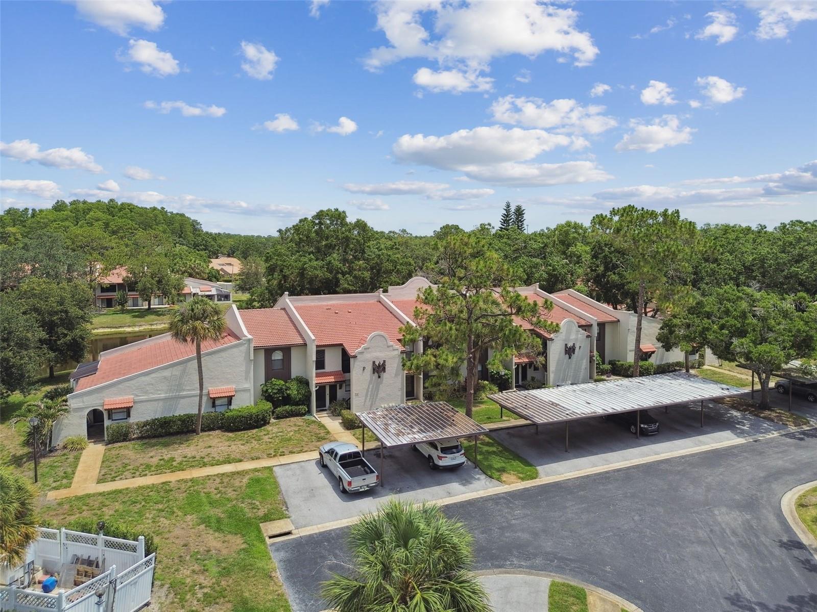 3505 TARPON WOODS BLVD #P404, PALM HARBOR, FL, 34685