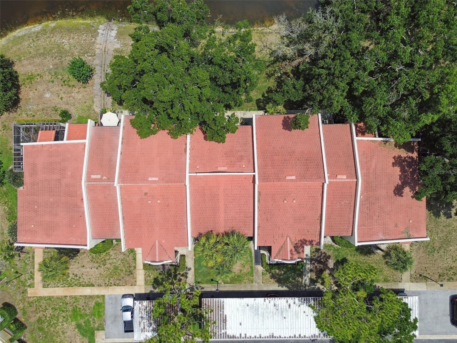 3505 TARPON WOODS BLVD #P404, PALM HARBOR, FL, 34685