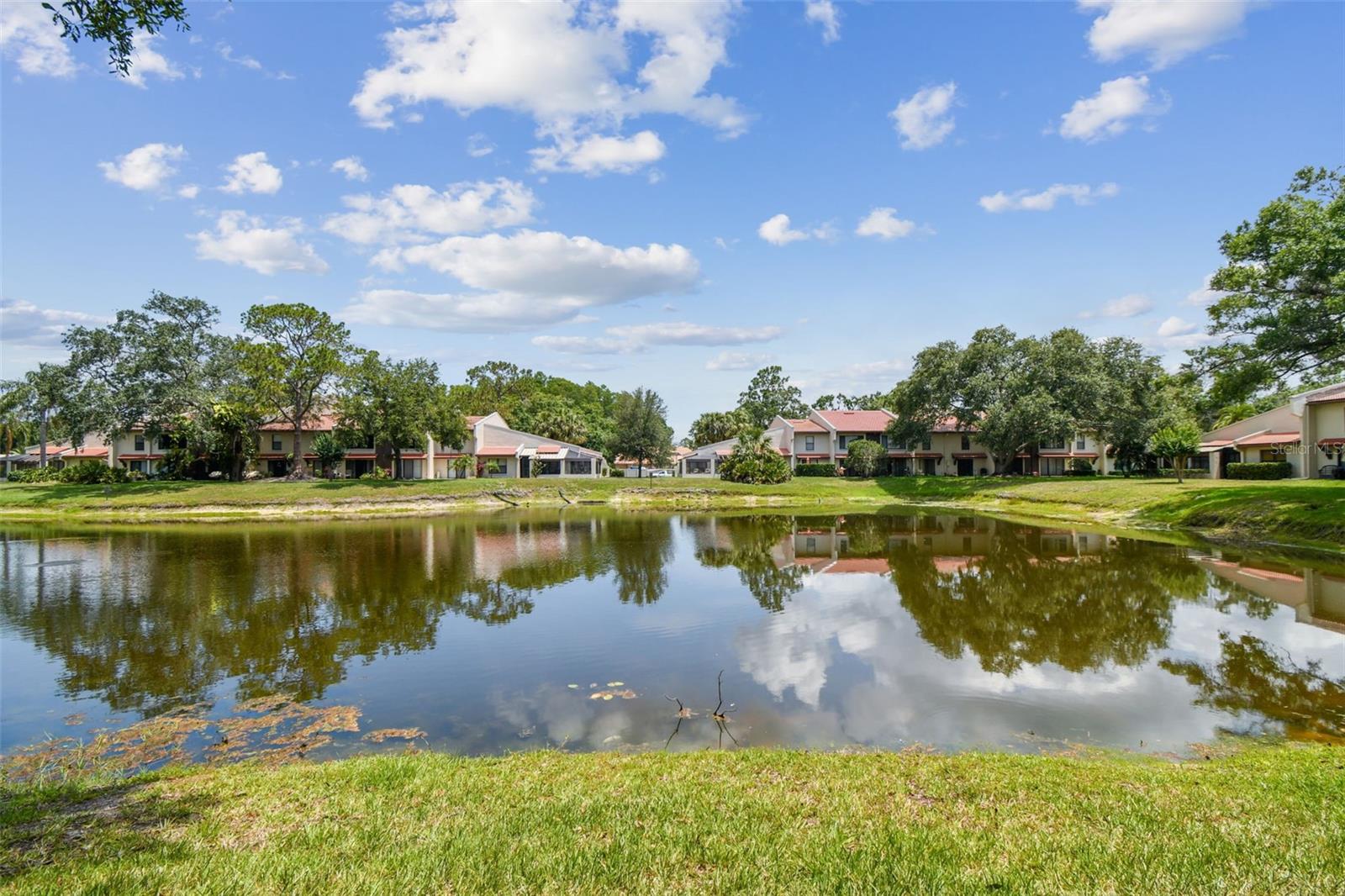 3505 TARPON WOODS BLVD #P404, PALM HARBOR, FL, 34685