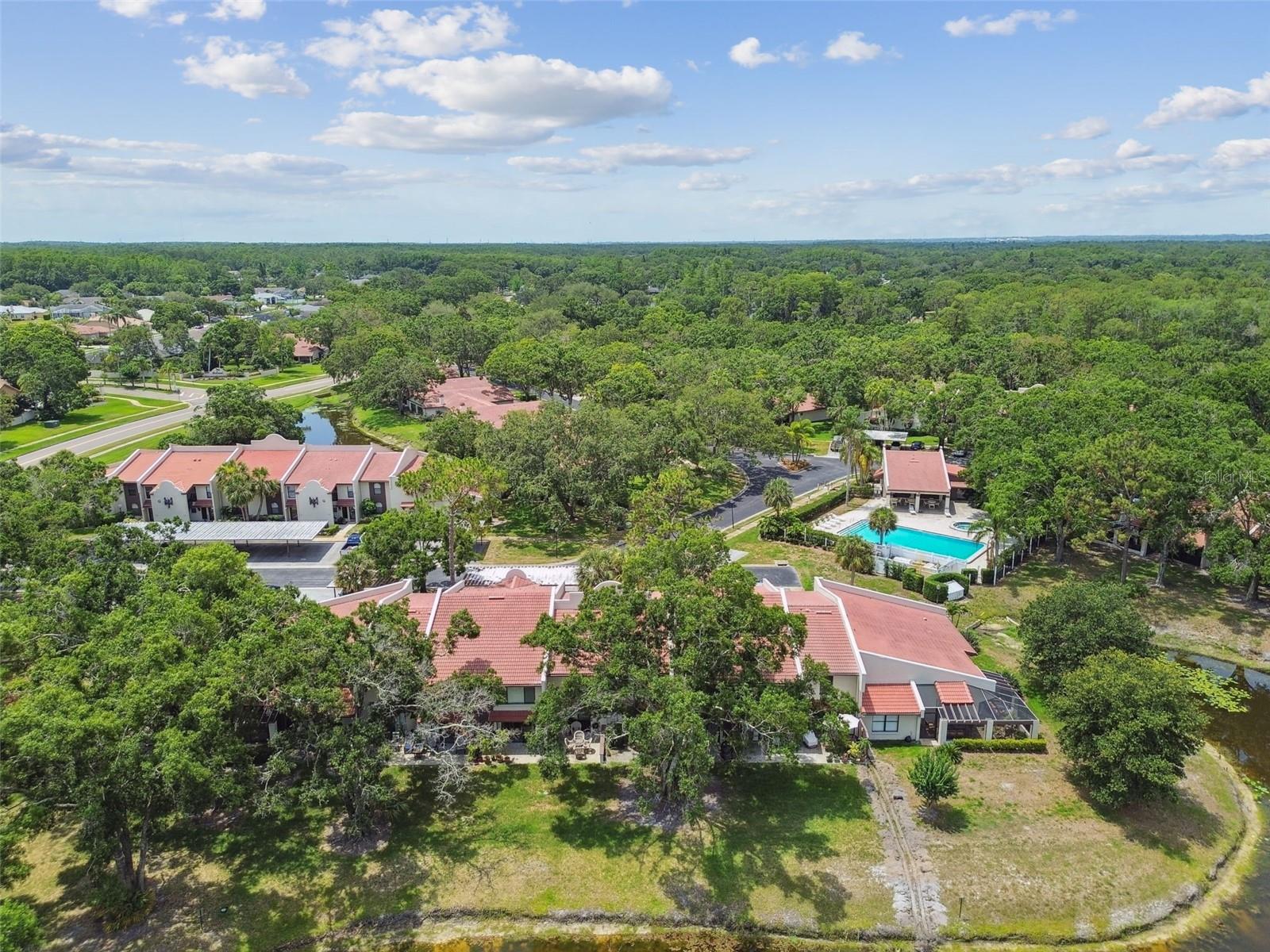 3505 TARPON WOODS BLVD #P404, PALM HARBOR, FL, 34685