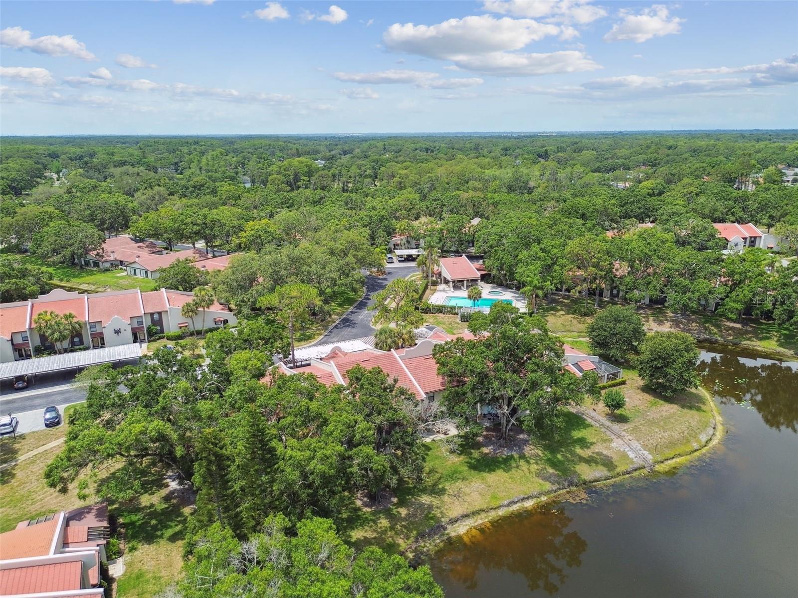 3505 TARPON WOODS BLVD #P404, PALM HARBOR, FL, 34685