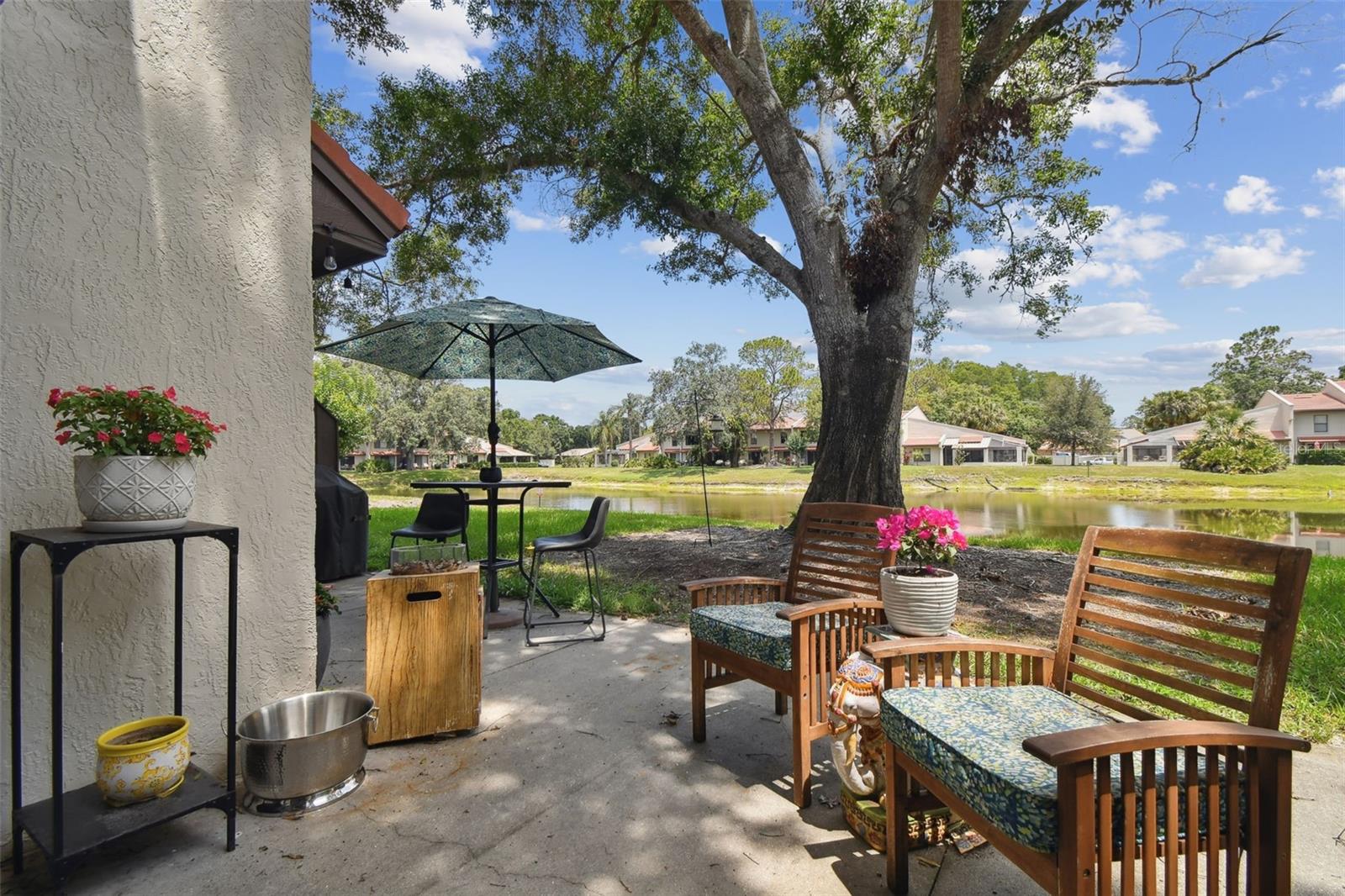 3505 TARPON WOODS BLVD #P404, PALM HARBOR, FL, 34685