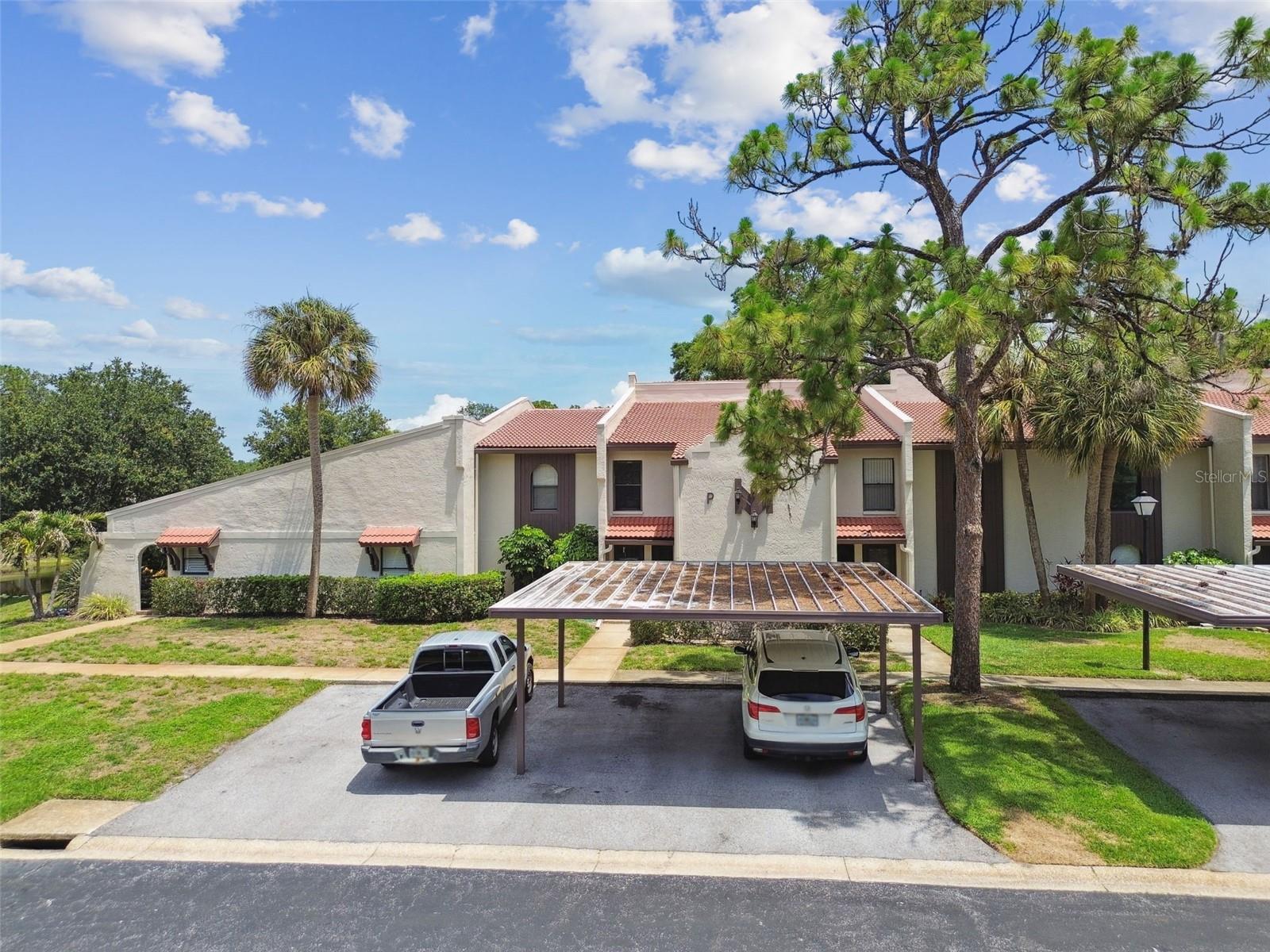 3505 TARPON WOODS BLVD #P404, PALM HARBOR, FL, 34685