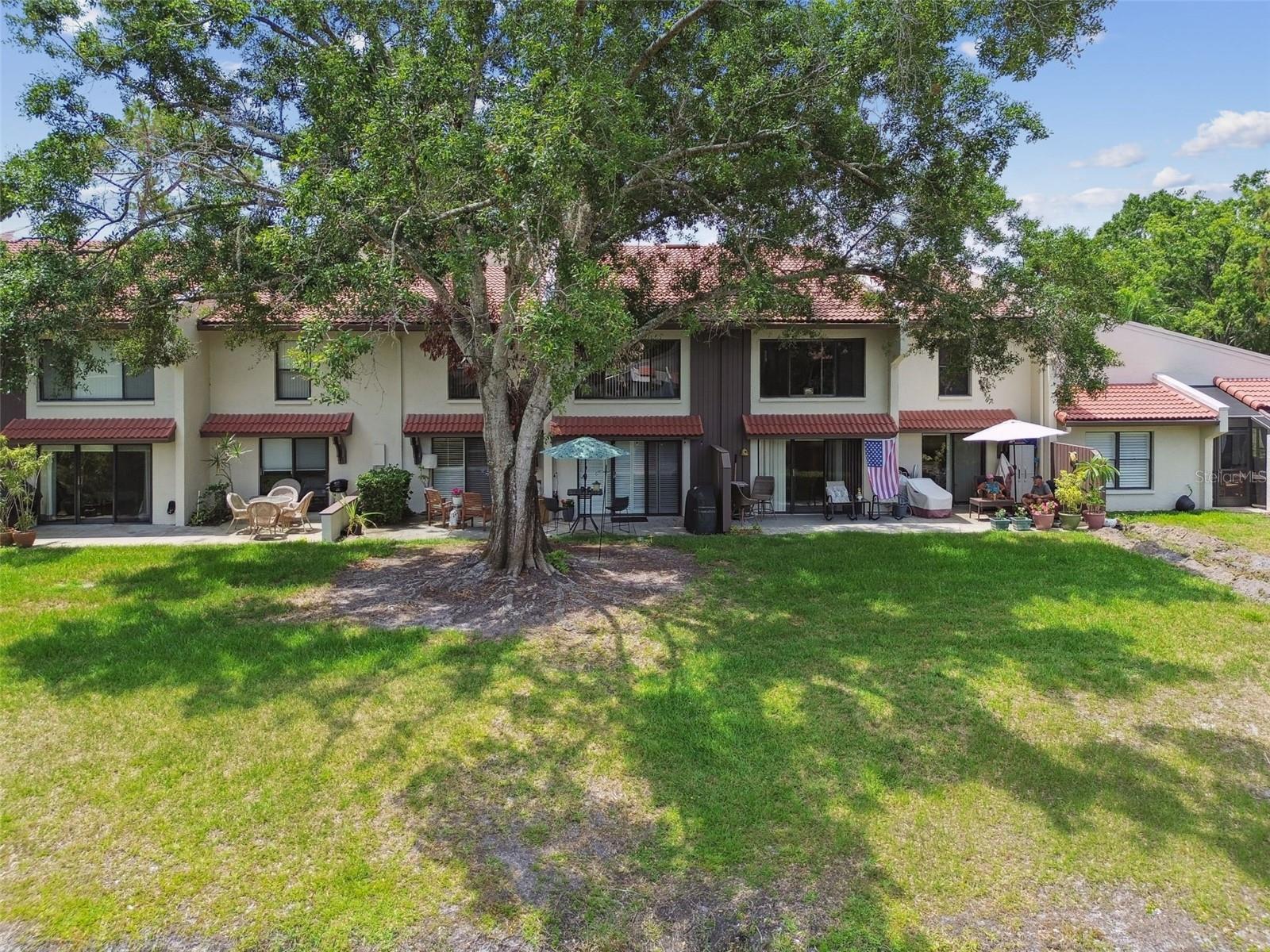 3505 TARPON WOODS BLVD #P404, PALM HARBOR, FL, 34685