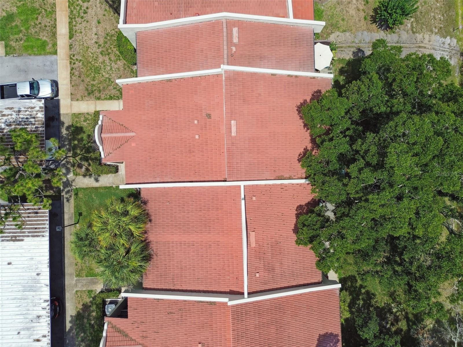 3505 TARPON WOODS BLVD #P404, PALM HARBOR, FL, 34685