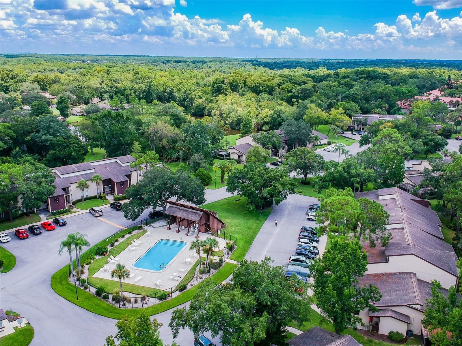 3505 TARPON WOODS BLVD #P404, PALM HARBOR, FL, 34685