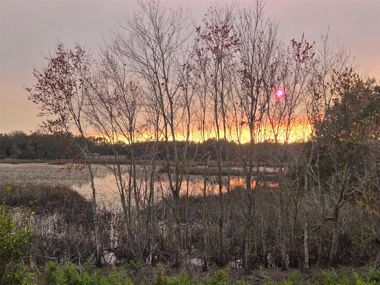 5204 SCOTLAND CT, LEESBURG, FL, 34748