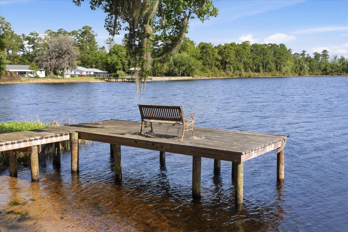 229 LAKE IDA POINT DR, INTERLACHEN, FL, 32148