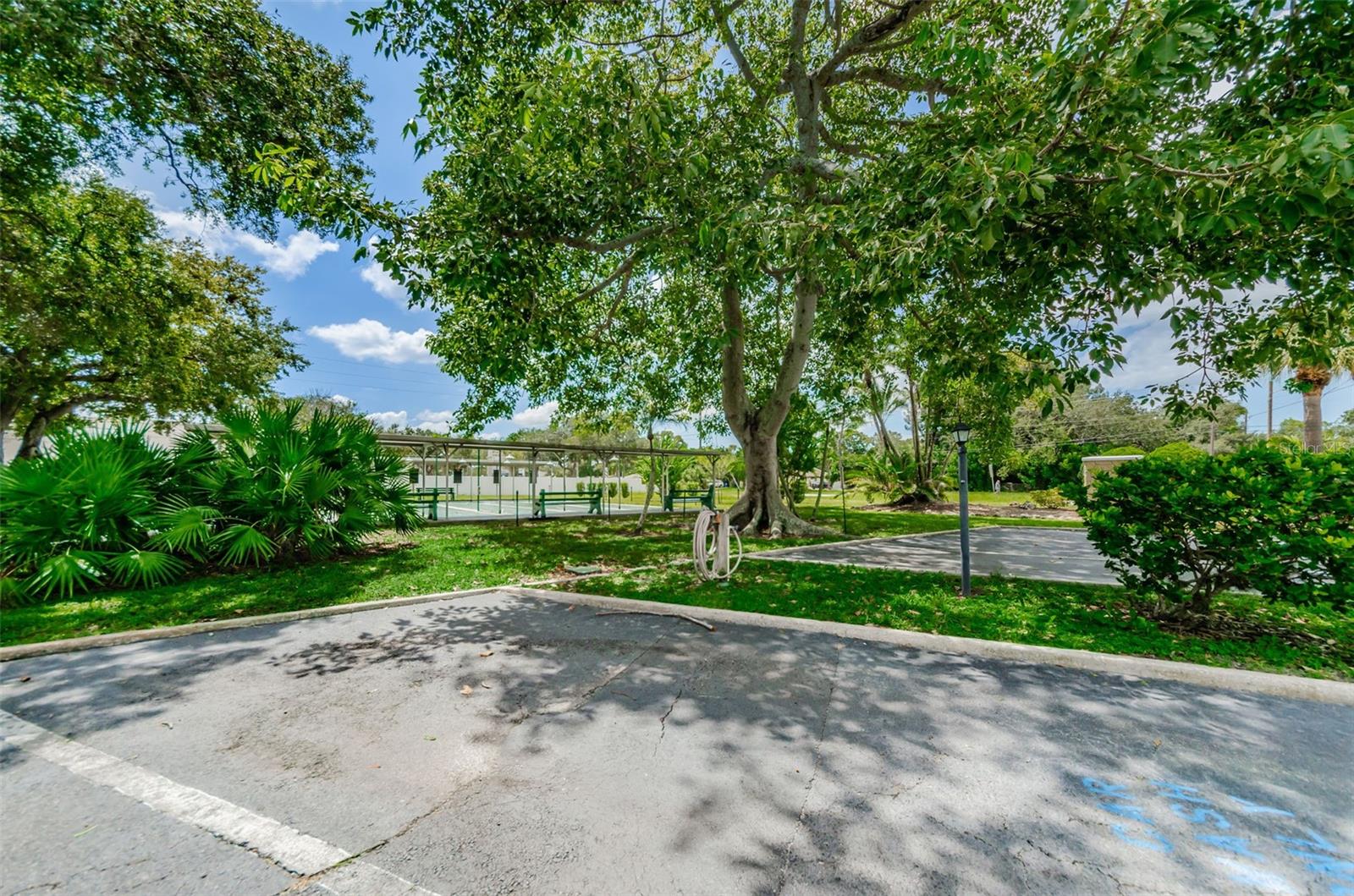 4051 58TH ST N #243, KENNETH CITY, FL, 33709