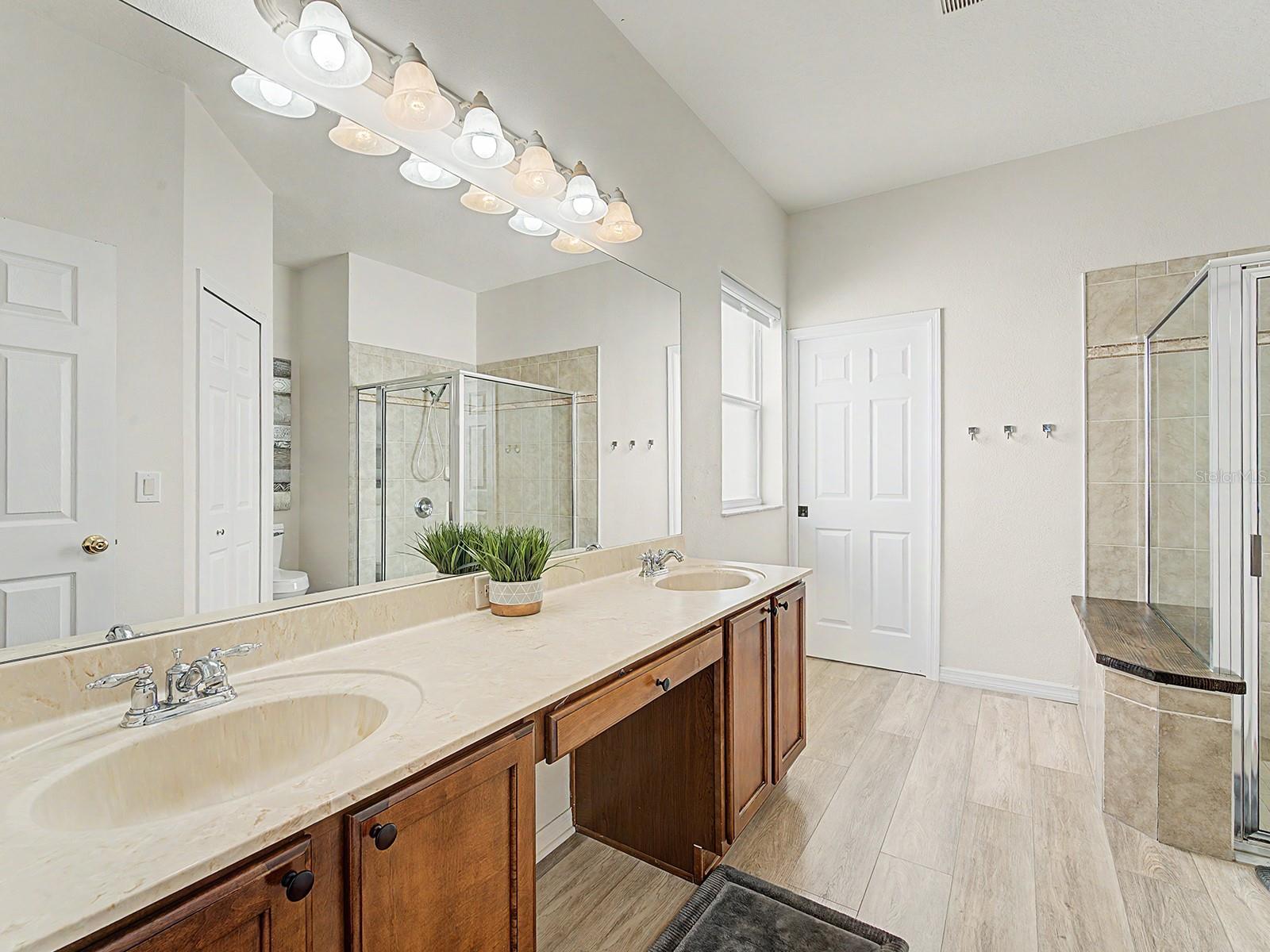 10905 ANCIENT FUTURES DR, TAMPA, FL, 33647