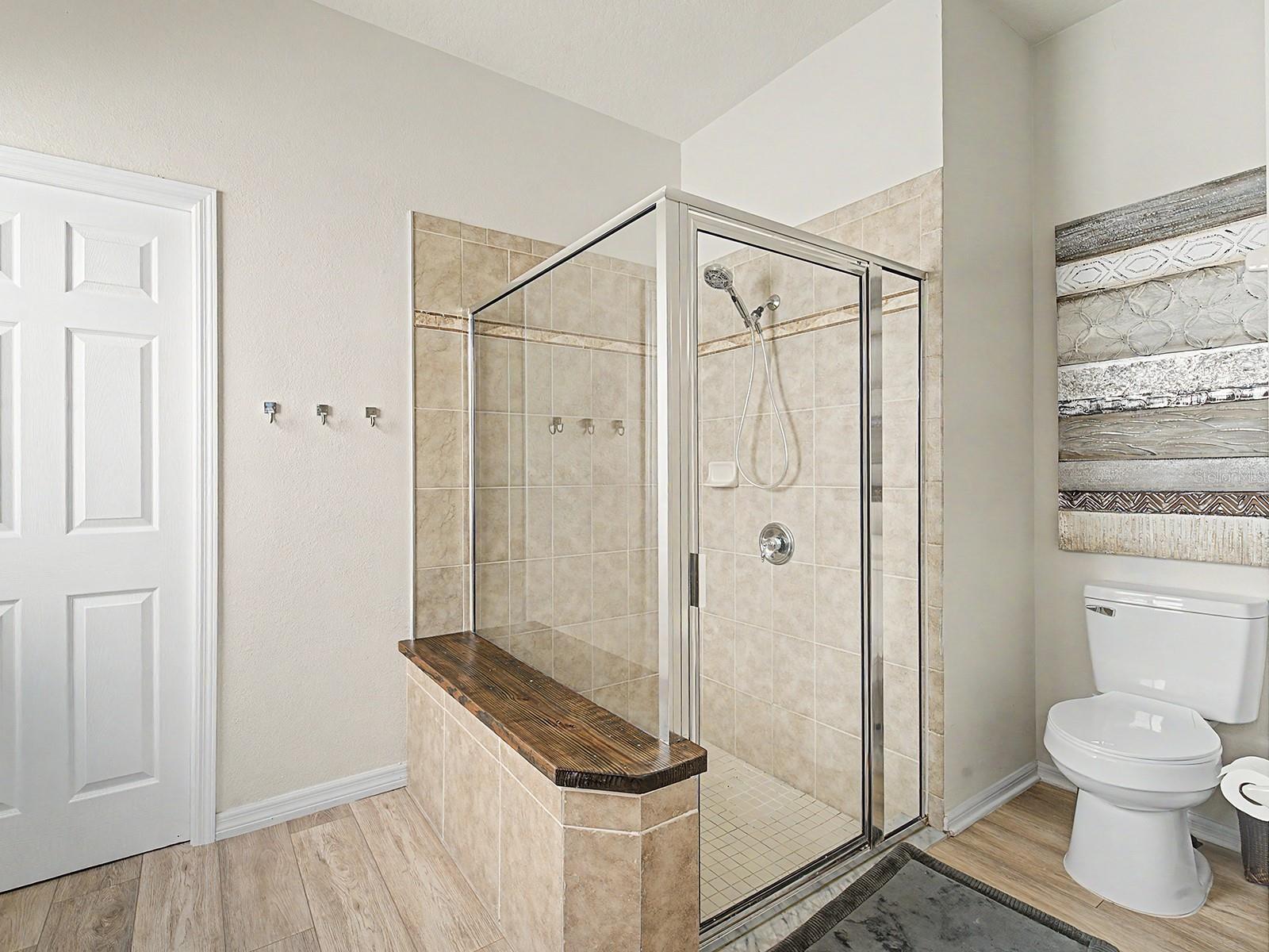 10905 ANCIENT FUTURES DR, TAMPA, FL, 33647