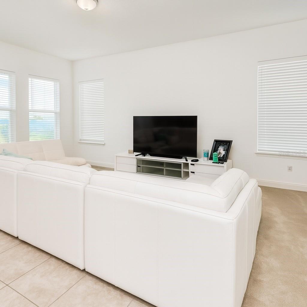 7530 ALPINE BUTTERFLY LN, ORLANDO, FL, 32819