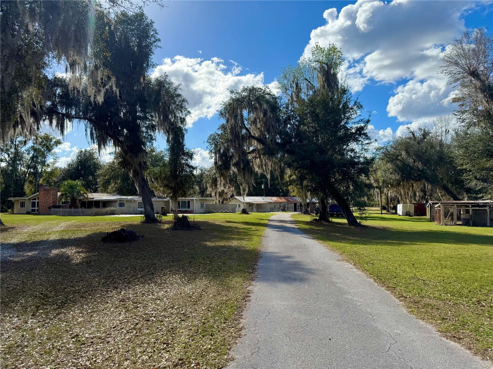 11816 SE COUNTY ROAD 234, MICANOPY, FL, 32667