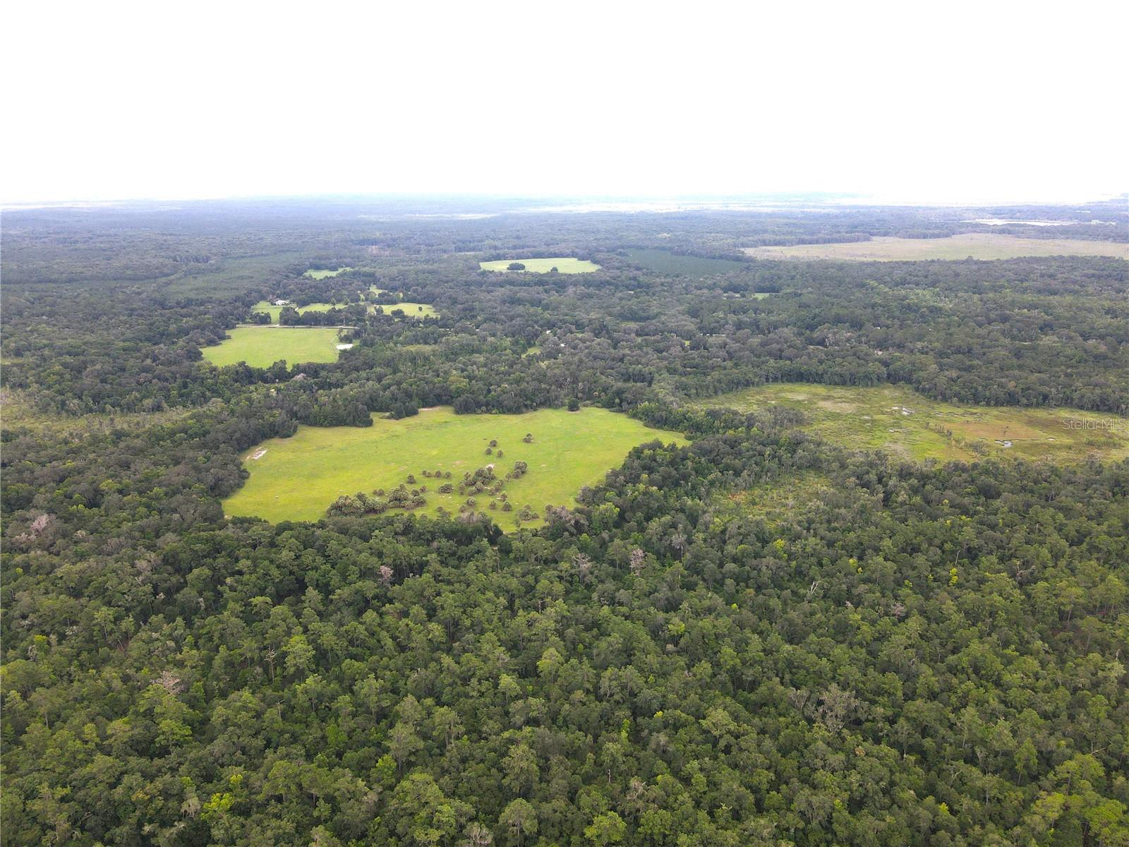 11816 SE COUNTY ROAD 234, MICANOPY, FL, 32667