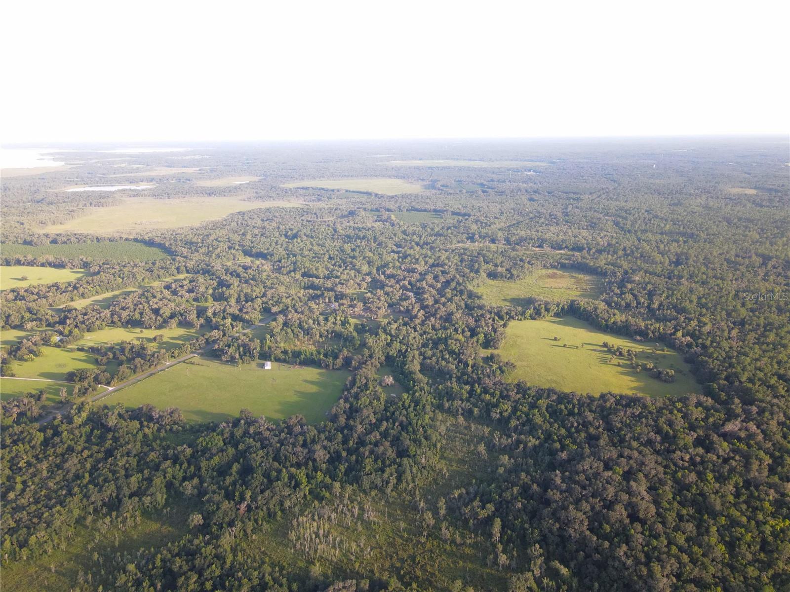11816 SE COUNTY ROAD 234, MICANOPY, FL, 32667