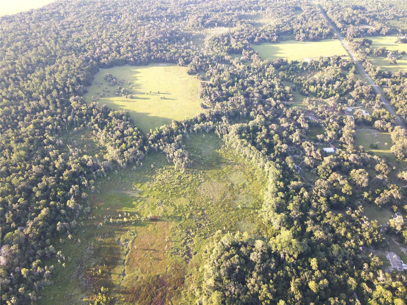 11816 SE COUNTY ROAD 234, MICANOPY, FL, 32667