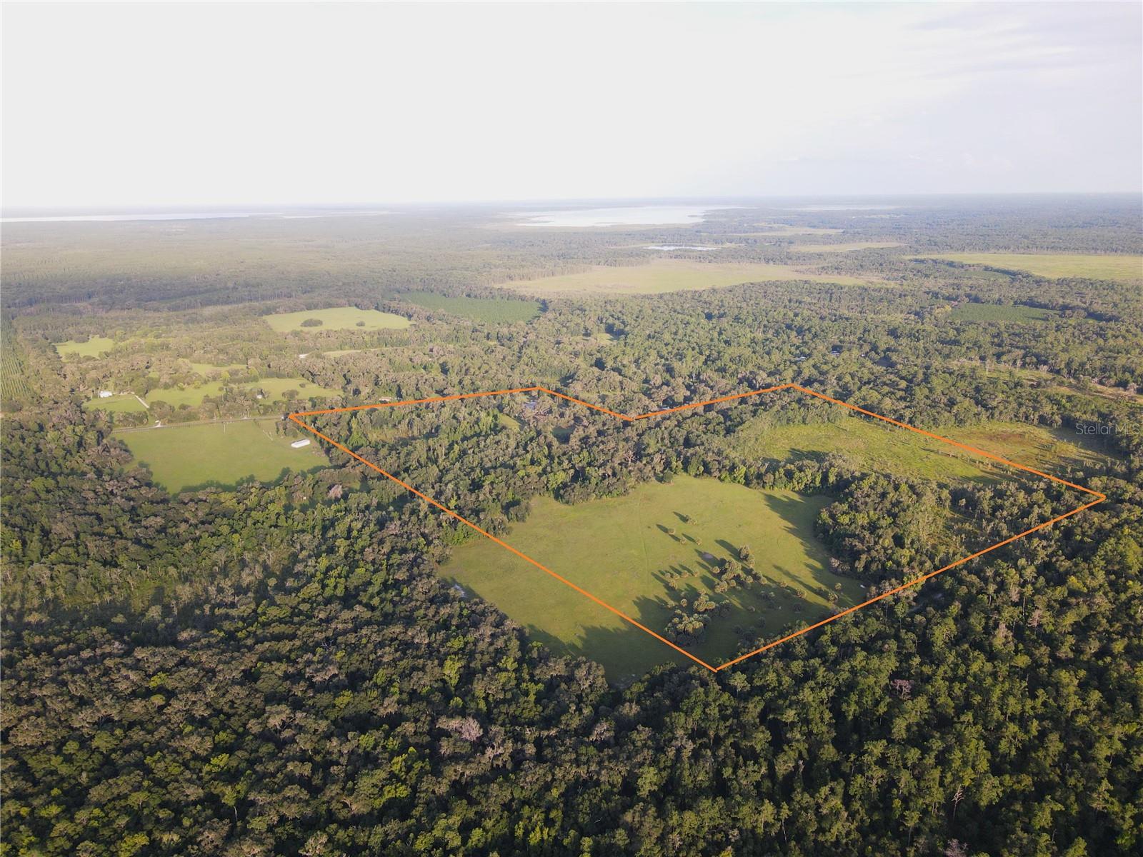 11816 SE COUNTY ROAD 234, MICANOPY, FL, 32667