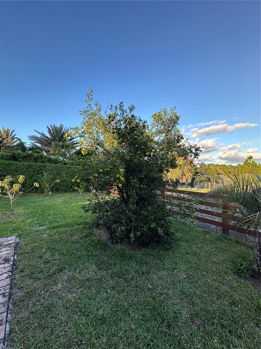 1889 RANCHLAND TRL, LONGWOOD, FL, 32750