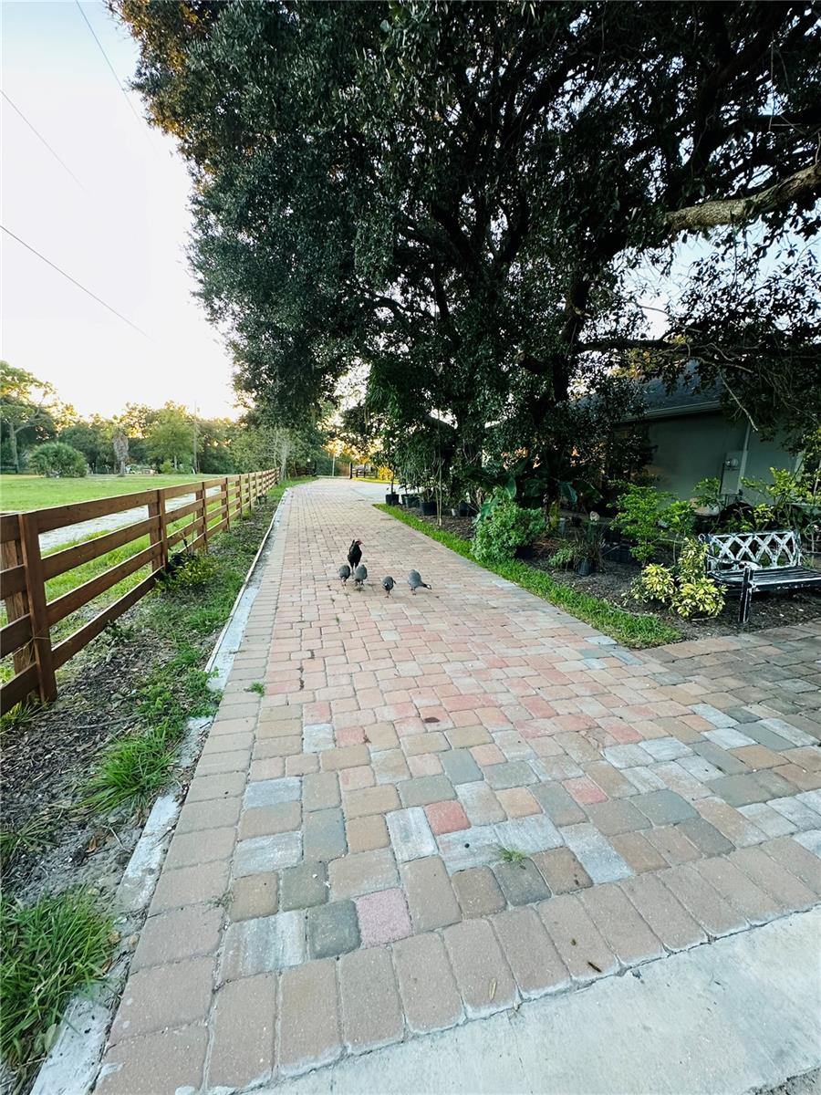 1889 RANCHLAND TRL, LONGWOOD, FL, 32750