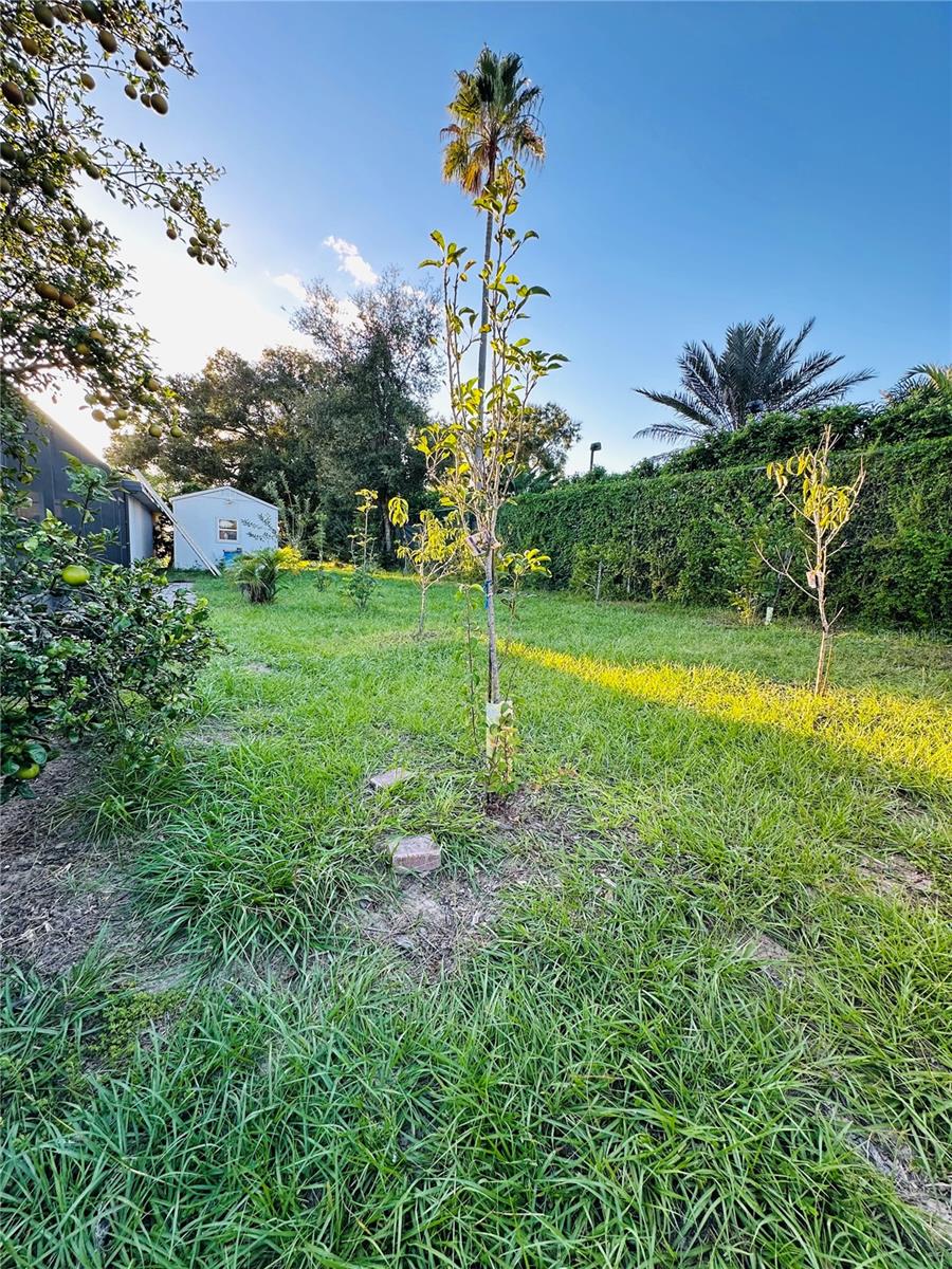 1889 RANCHLAND TRL, LONGWOOD, FL, 32750