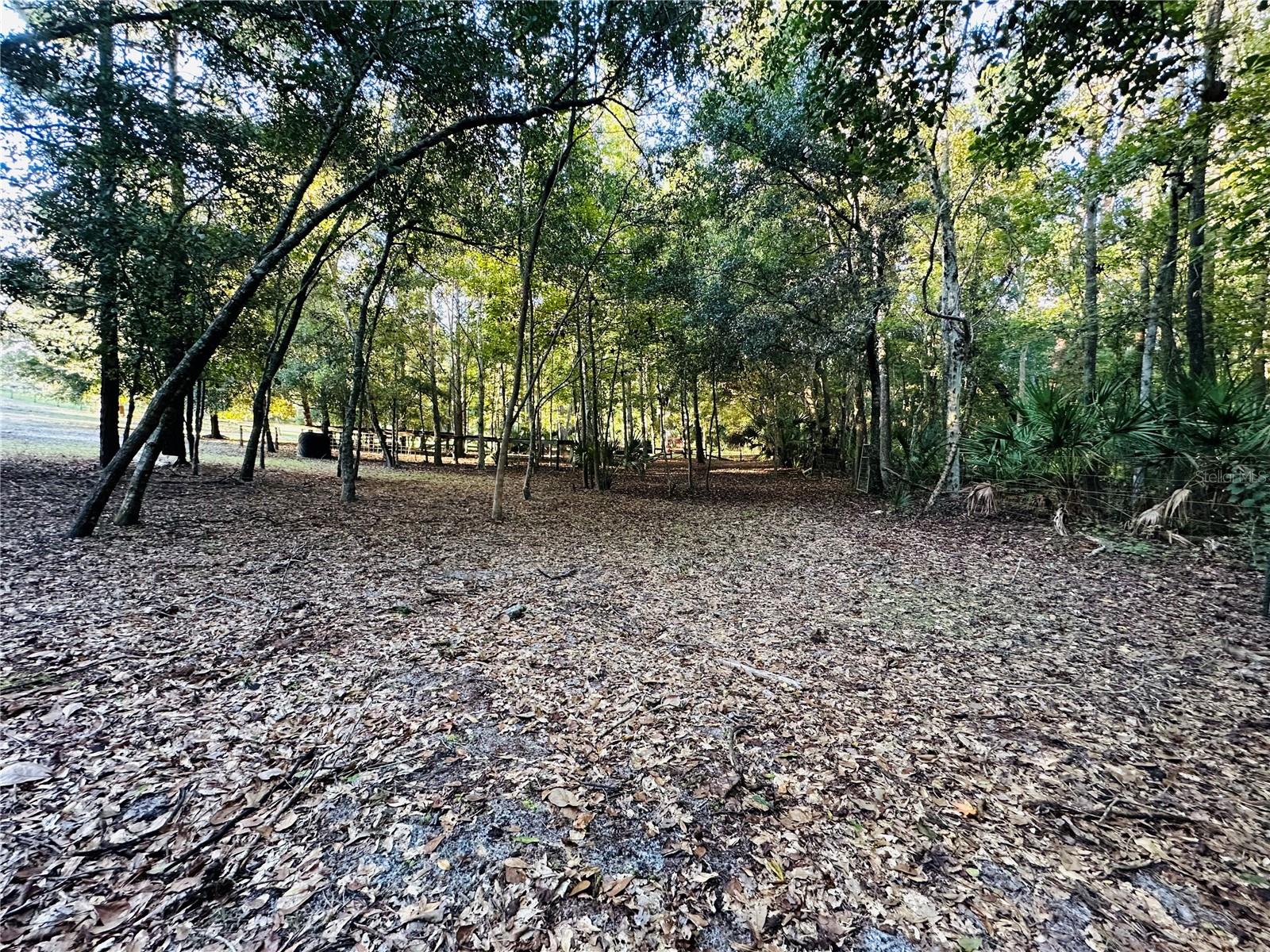 1889 RANCHLAND TRL, LONGWOOD, FL, 32750