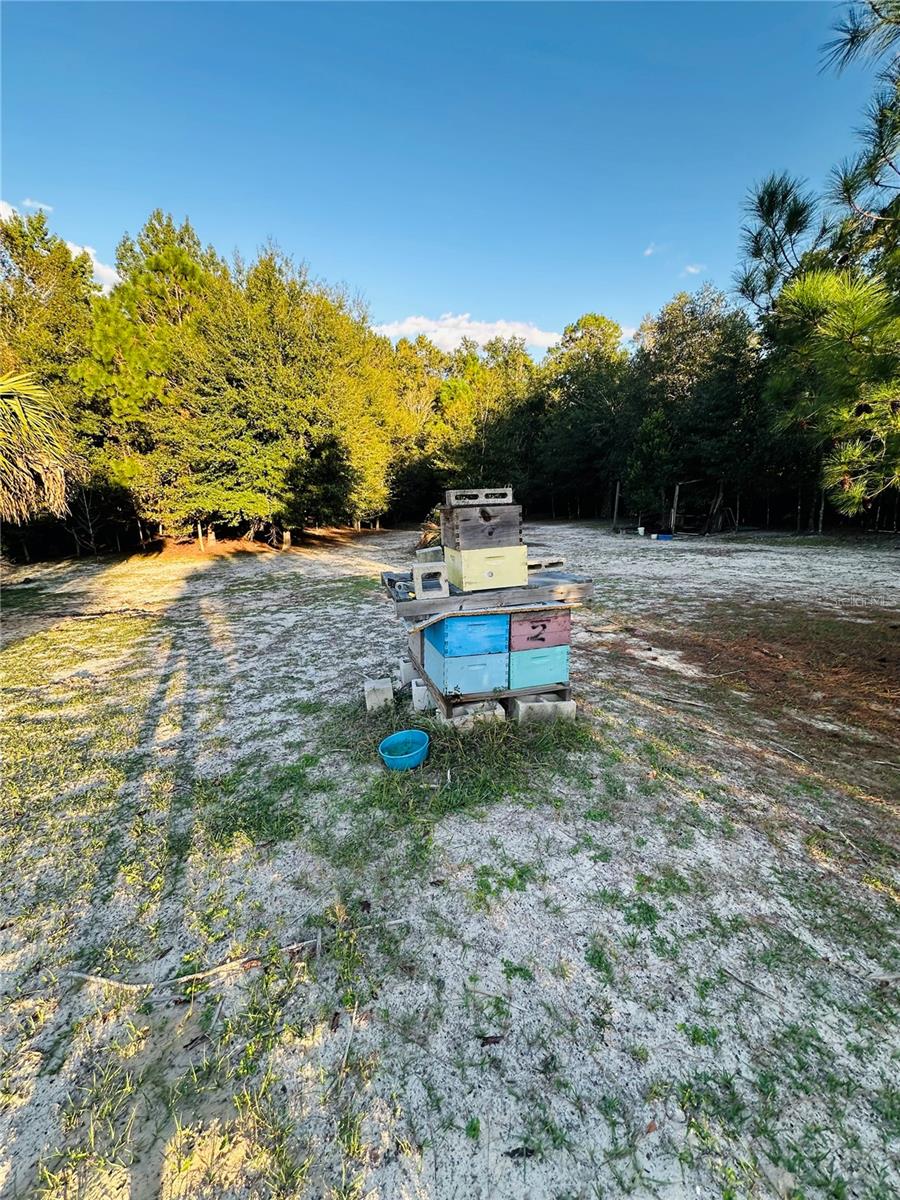 1889 RANCHLAND TRL, LONGWOOD, FL, 32750