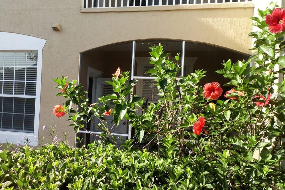 2307 BUTTERFLY PALM WAY ## 102, KISSIMMEE, FL, 34747