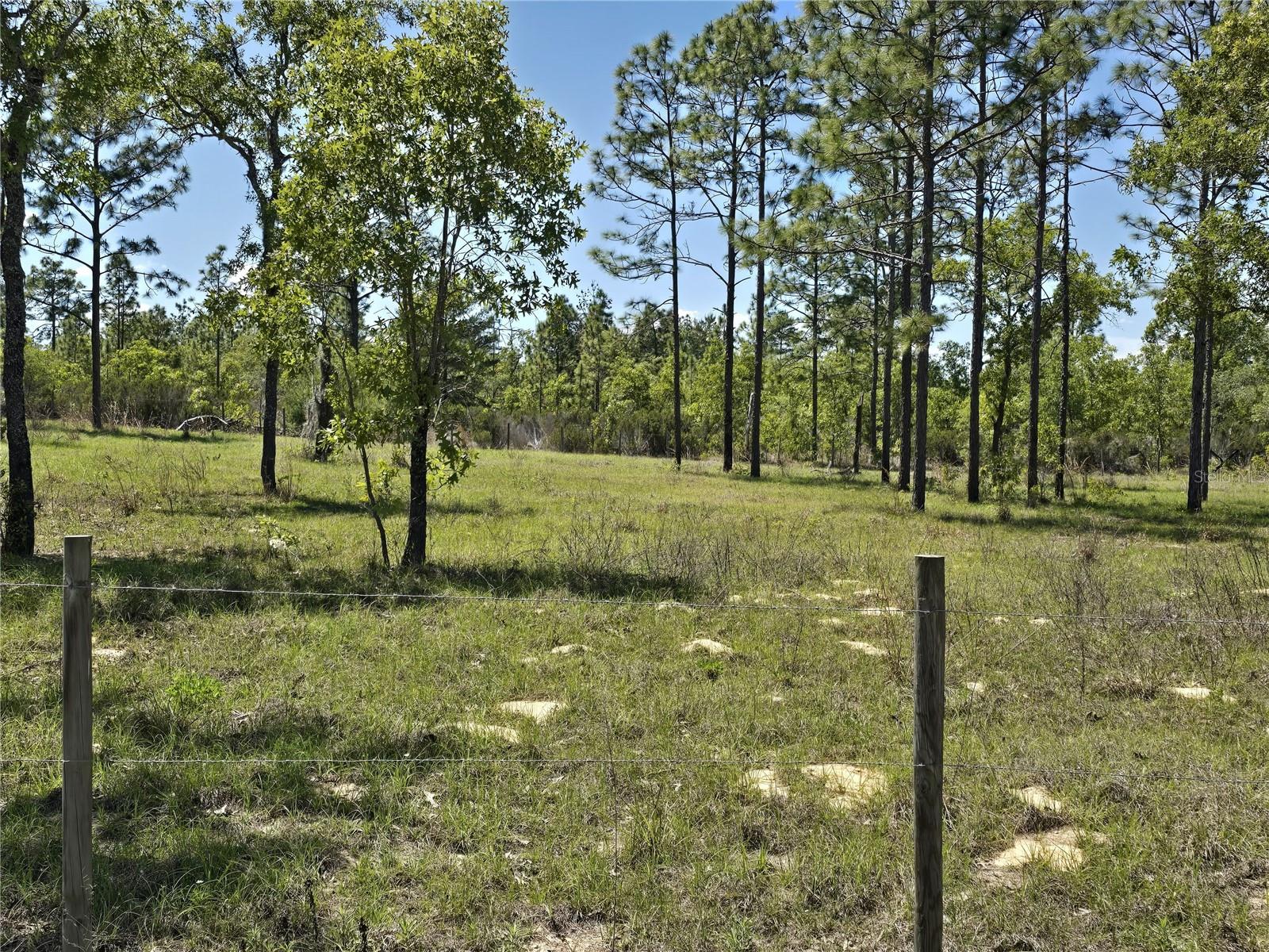 00 NE 129TH AVE, WILLISTON, FL, 32696