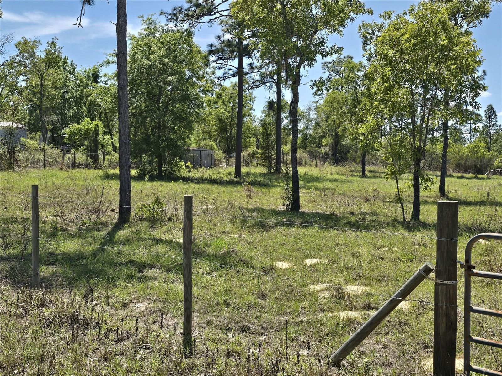 00 NE 129TH AVE, WILLISTON, FL, 32696