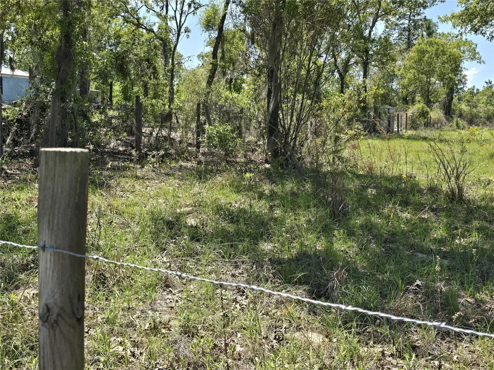 00 NE 129TH AVE, WILLISTON, FL, 32696