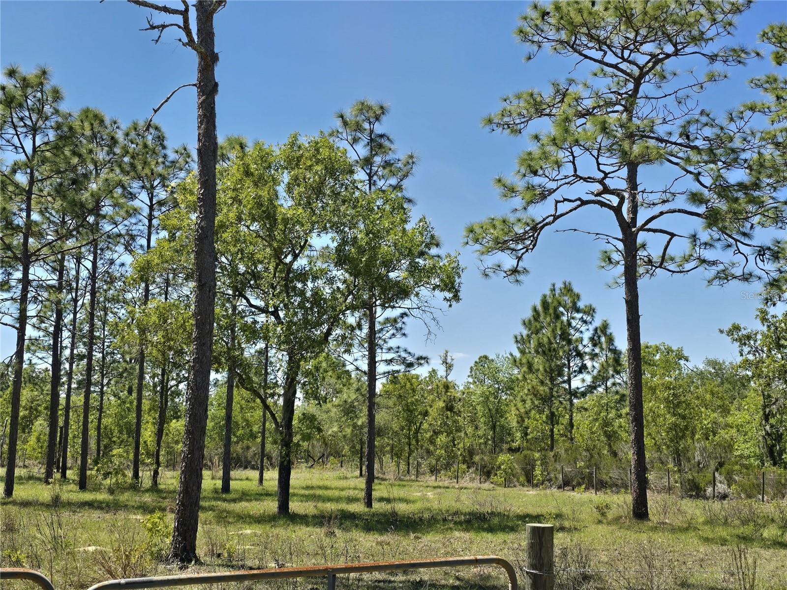 00 NE 129TH AVE, WILLISTON, FL, 32696