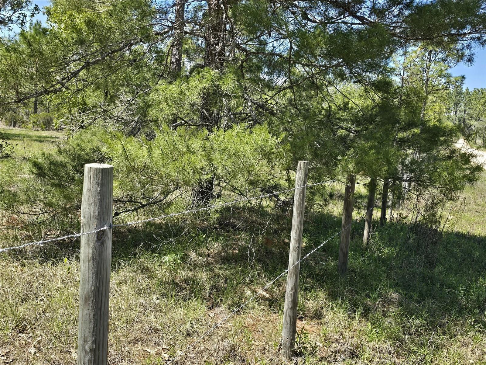 00 NE 129TH AVE, WILLISTON, FL, 32696