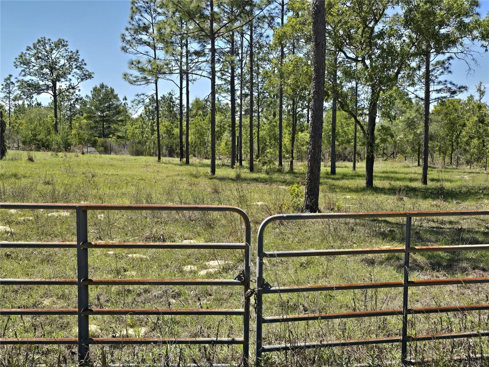 00 NE 129TH AVE, WILLISTON, FL, 32696