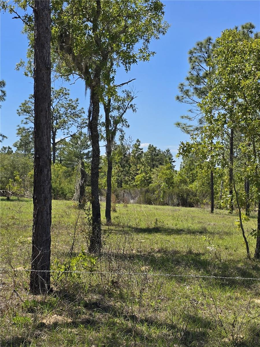 00 NE 129TH AVE, WILLISTON, FL, 32696