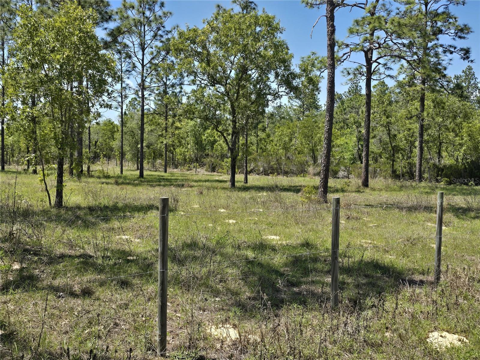 00 NE 129TH AVE, WILLISTON, FL, 32696