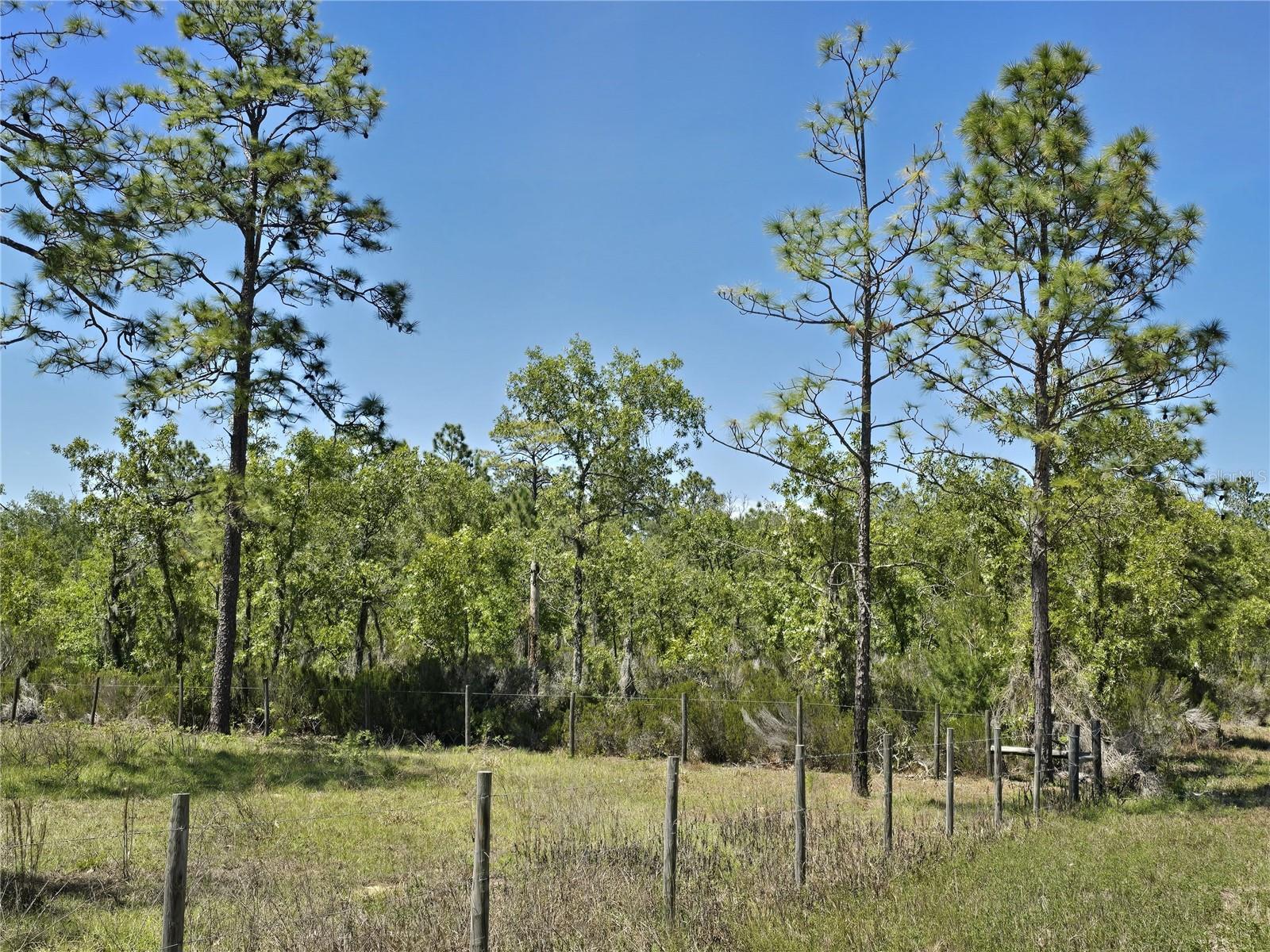 00 NE 129TH AVE, WILLISTON, FL, 32696