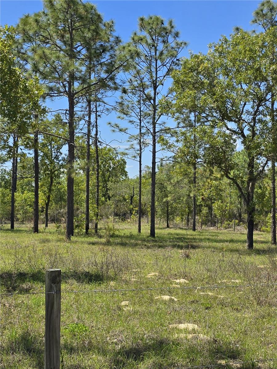 00 NE 129TH AVE, WILLISTON, FL, 32696