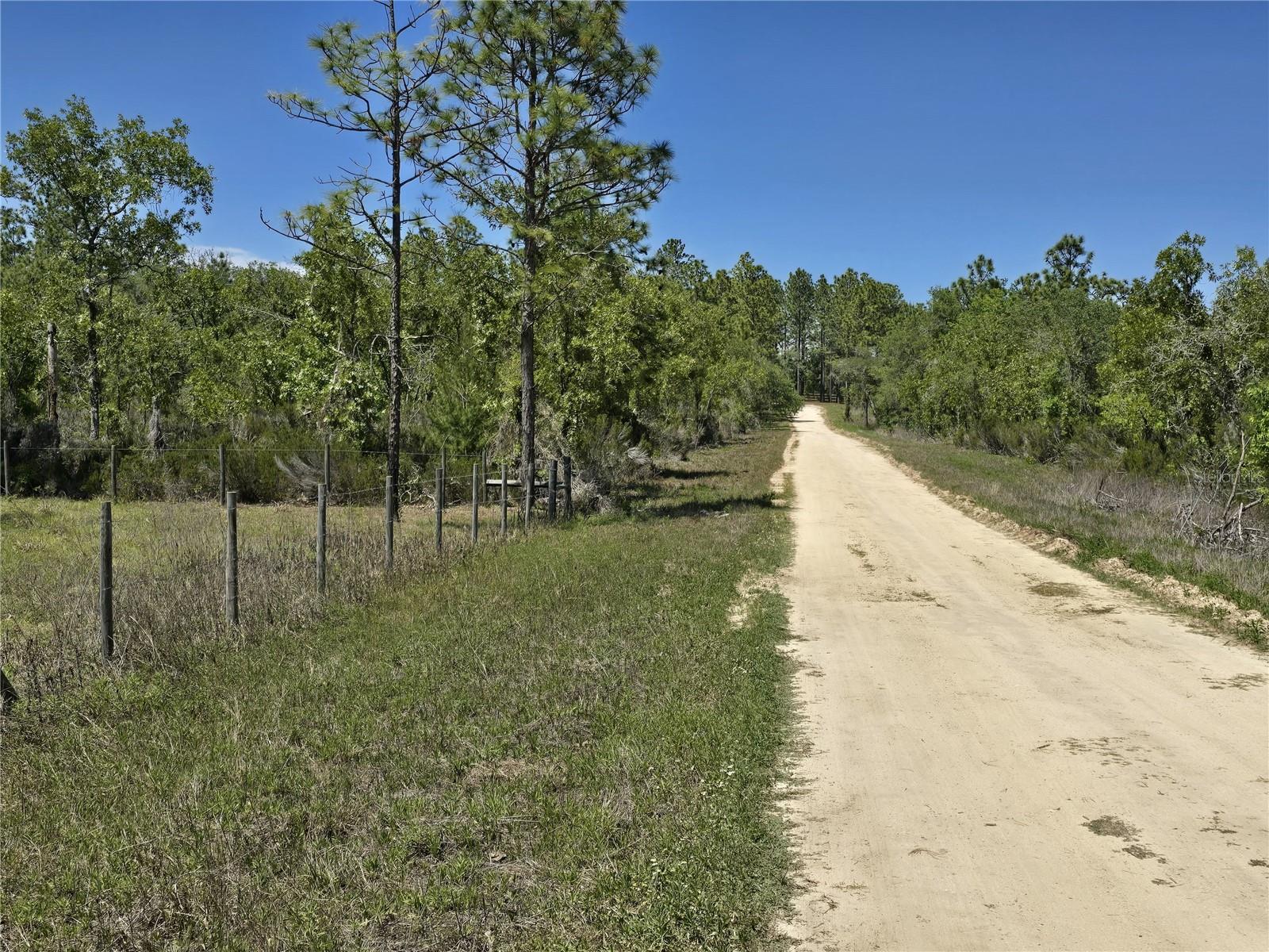 00 NE 129TH AVE, WILLISTON, FL, 32696