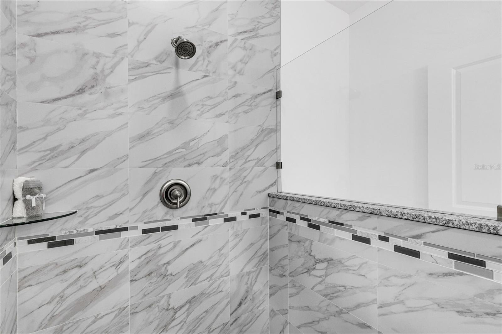 808 W LOWRY LN, TAMPA, FL, 33604