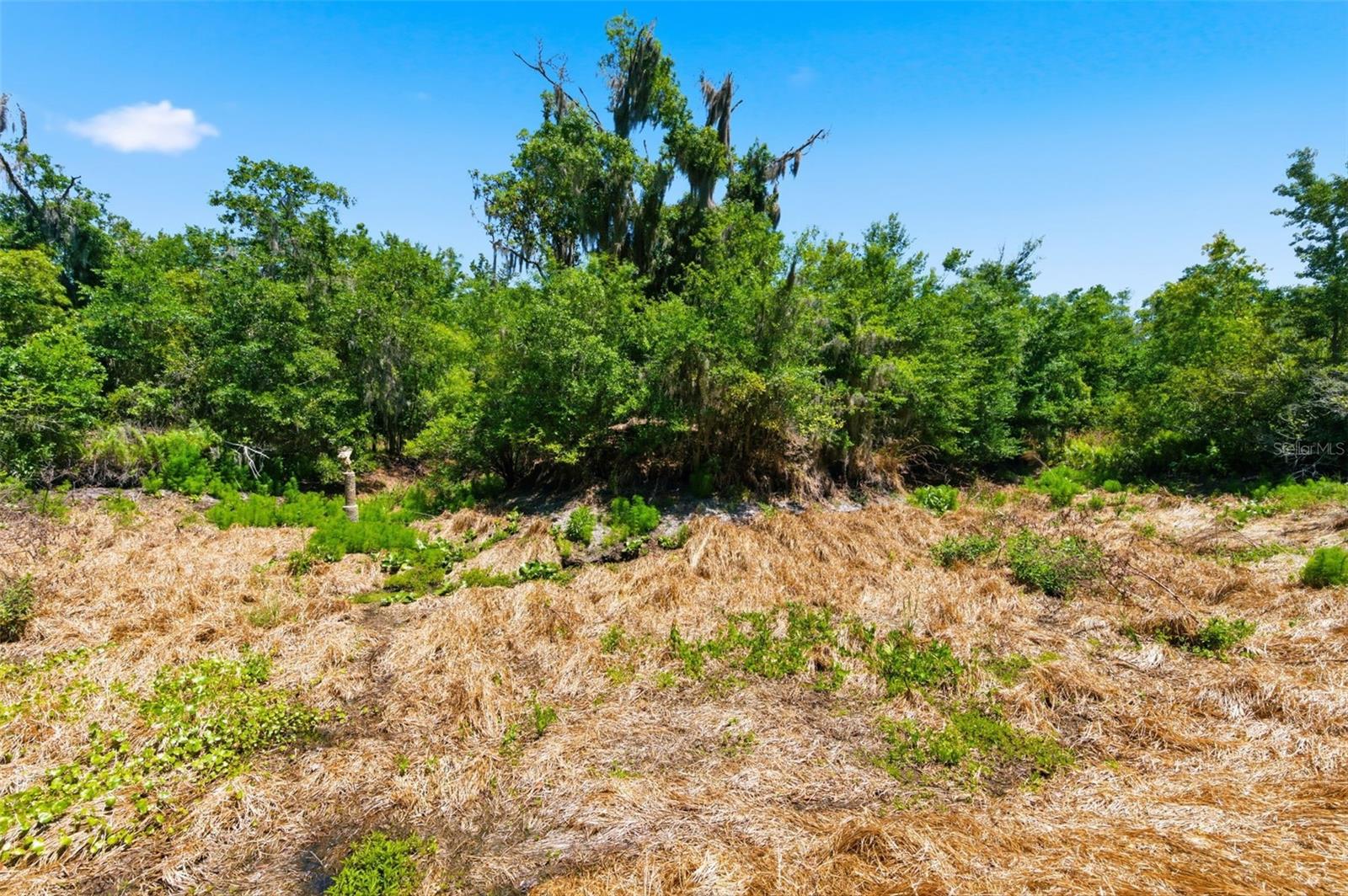 19084 RED BIRD LN #LOT 5, LITHIA, FL, 33547