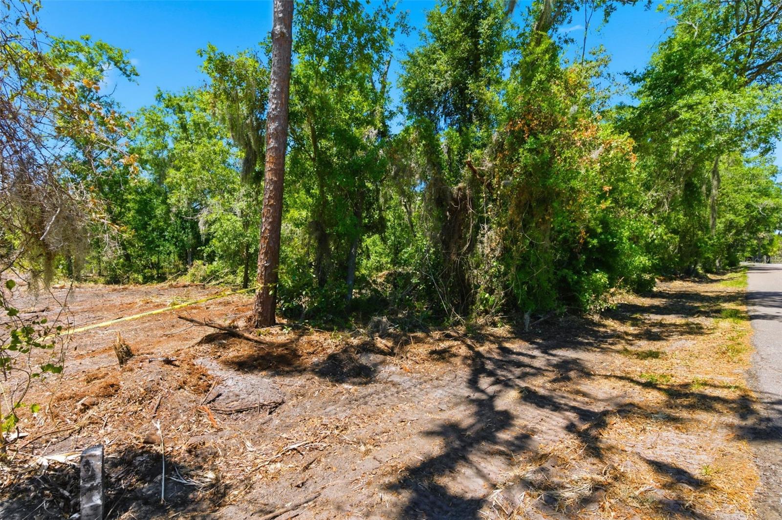 19084 RED BIRD LN #LOT 5, LITHIA, FL, 33547