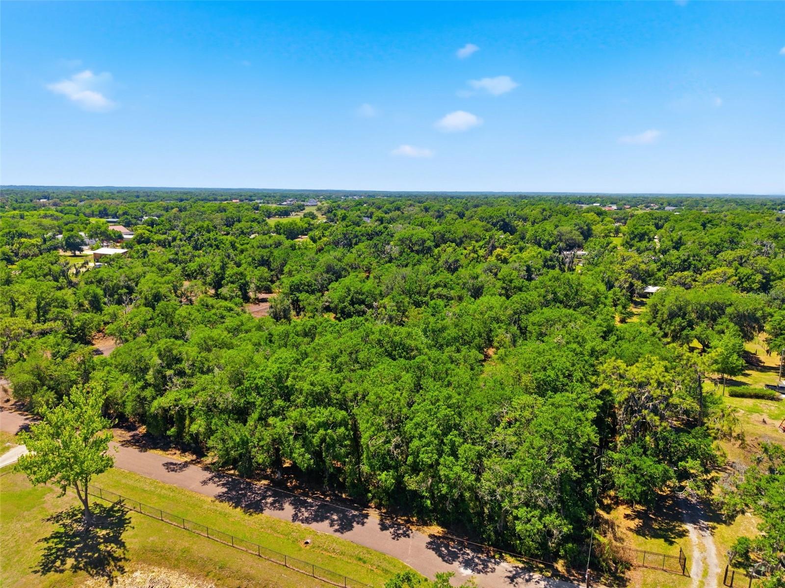 19084 RED BIRD LN #LOT 5, LITHIA, FL, 33547